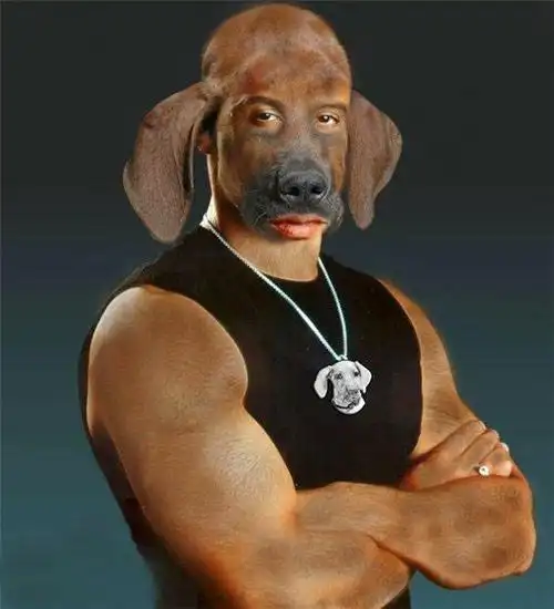 【爆笑】超级恶搞图片之外国明星遭恶搞,惨目忍睹.-爆笑搞怪-搞笑图片