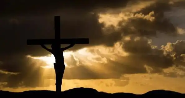 痛苦是人生拥有免疫力最好的天然养料自我救赎的良方