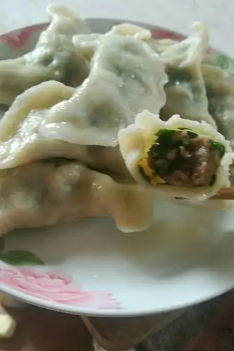 lia宝妈做的猪肉韭菜馅饺子