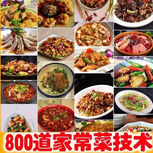 800道家常菜技术烹饪自学厨艺炒菜菜谱大全