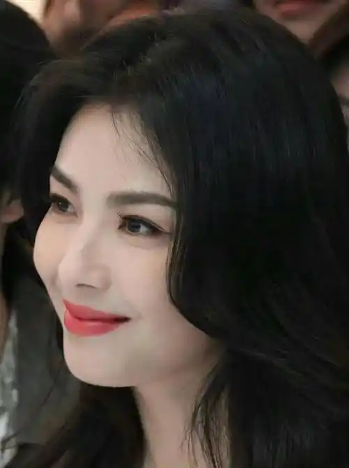 刘涛一夜回春原来是_变化_气质_发型