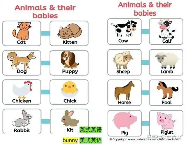 常见"动物宝宝"名称