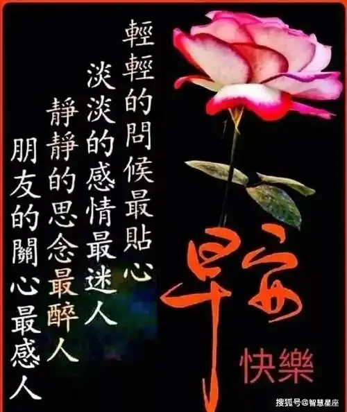 特漂亮的早上好祝福表情问候图片带字,清晨早上好短信问候语