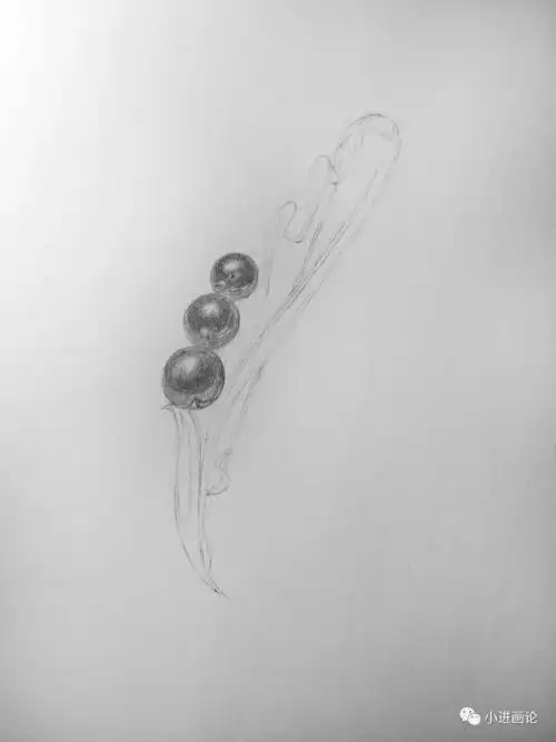 素描教程画两枚简洁大方的胸针