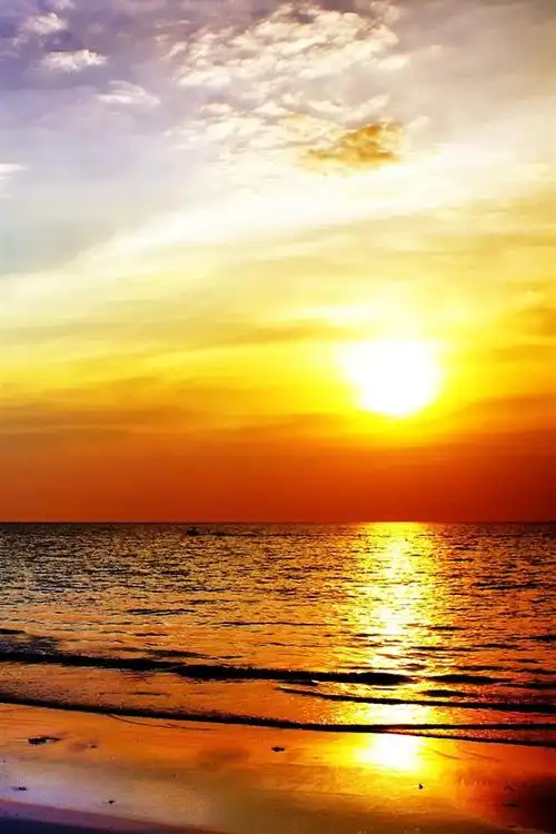 日落,海滩,大海,云彩,棕榈树,黄昏