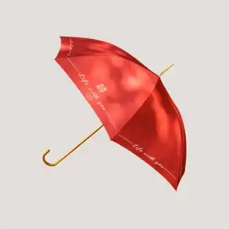 霜魄2024新娘伞红色结婚雨伞陪嫁中式婚礼庆出嫁喜字婚伞出门新婚用品