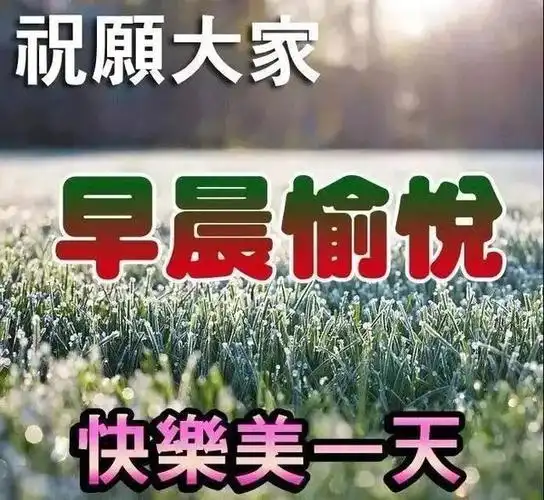 原创清晨慰问大家早上好图片好看的早上好表情包带祝福语