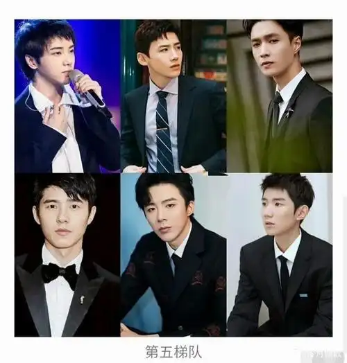 网友将当红男明星分为六个颜值梯队,你觉得谁的排名有问题?