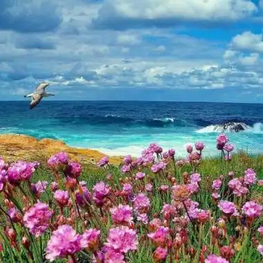 的风景大气招财头像 很有质感很精致的风景招财头像_风景头像_美头网