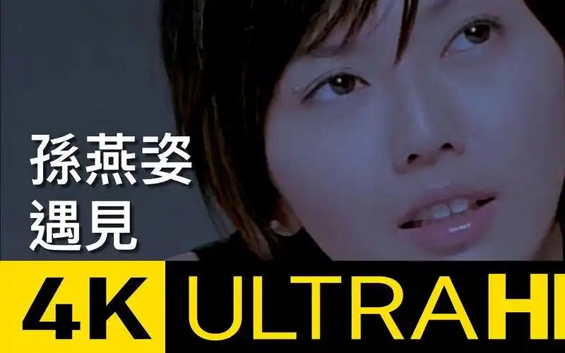 遇见-孙燕姿4k mv
