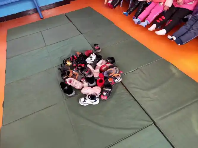 科学领域(鞋子找朋友)