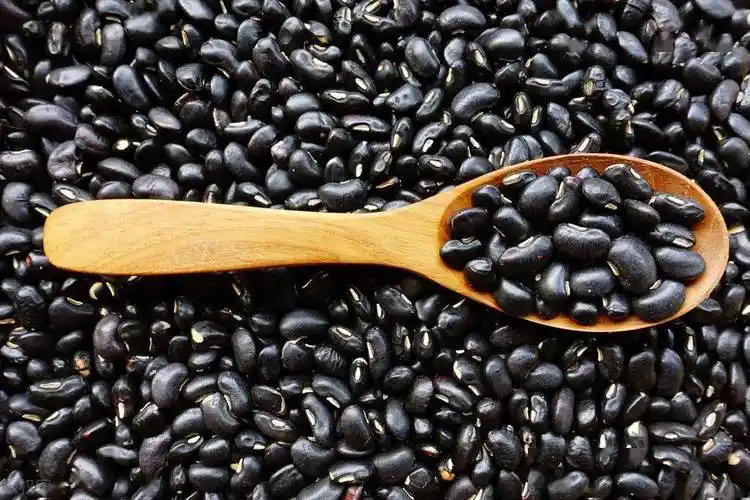 黑豆,形状似肾,色黑属水又通肾,故也被称为"肾之谷",可以补肾益阴