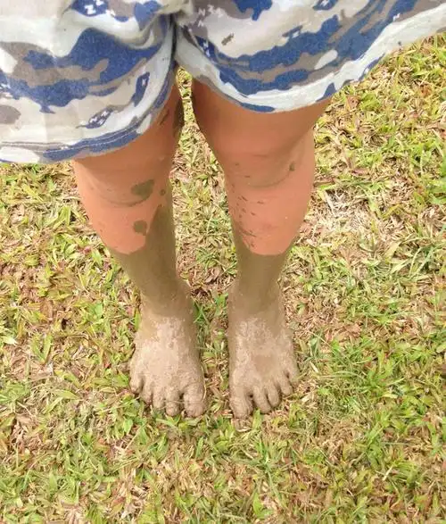 亲子游 | 在清迈,与孩子们一起上自然课【2016开年旅行】