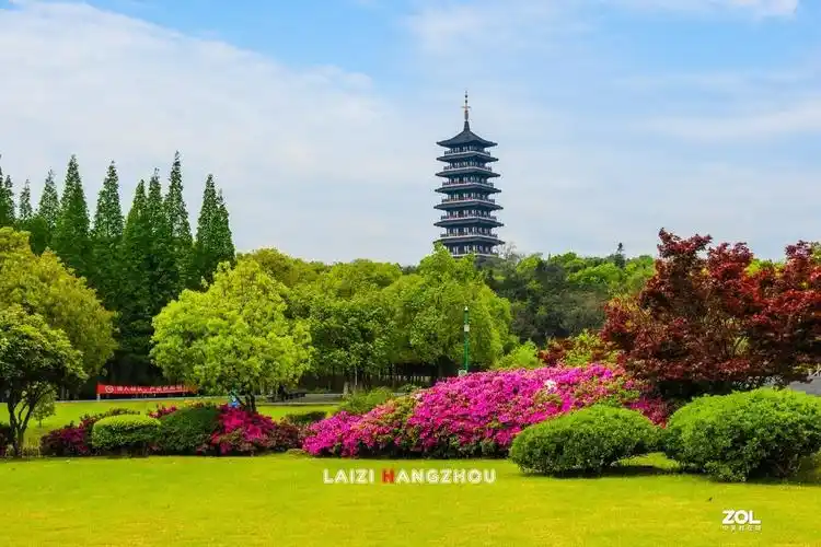 宜兴龙背山森林公园2