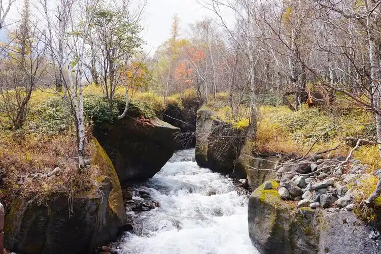长白山西坡老虎背攻略,长白山西坡老虎背门票/游玩攻略/地址/图片