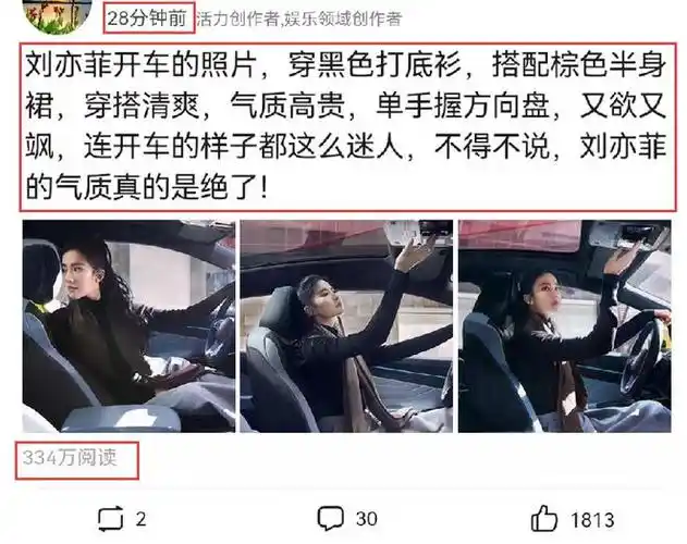 刘亦菲开车照片曝光握方向盘动作引起热议网友一看就是新手