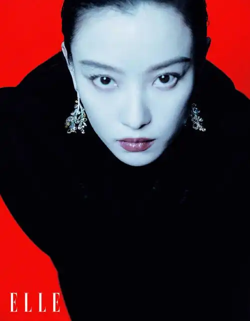 倪妮elle12月刊封面##倪妮elle耀夜大片