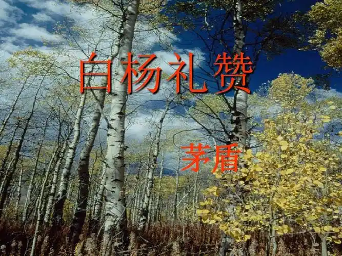 白杨礼赞ppt