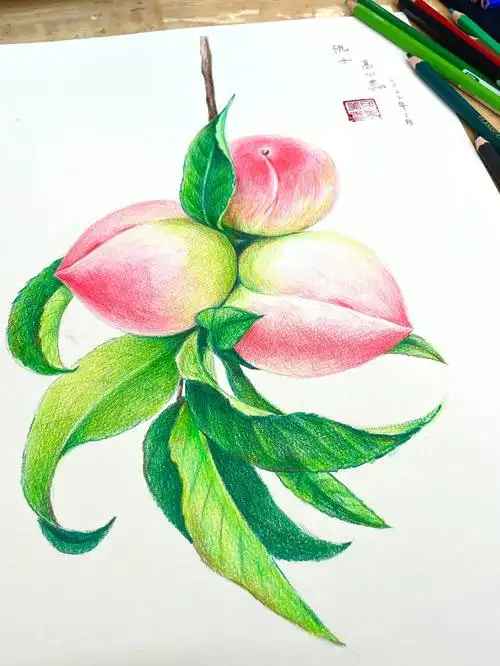 彩铅画三个桃子