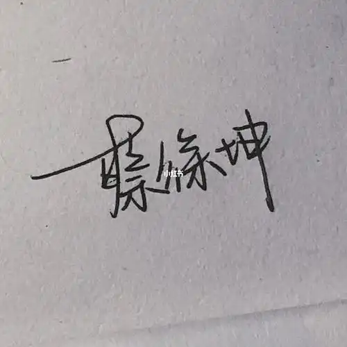 k u n from china bag it up up up_手写_蔡徐坤_历史_文化_书法