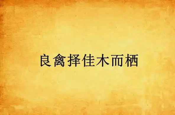 良禽择佳木而栖