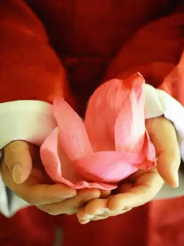 人,手,一个人,竖图,俯视,室内,特写,白天,民族服装,睡莲,亚洲,双手,仅