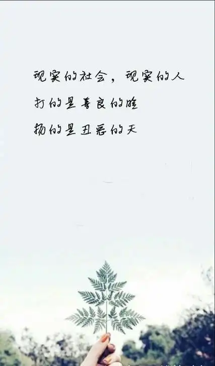 现实的社会虚伪的人心