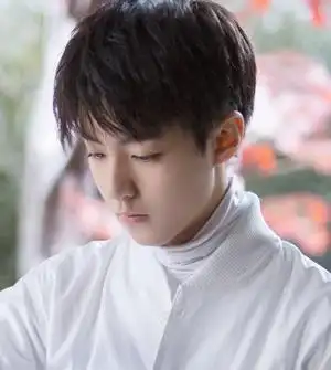 王俊凯锅盖头男生刘海发型