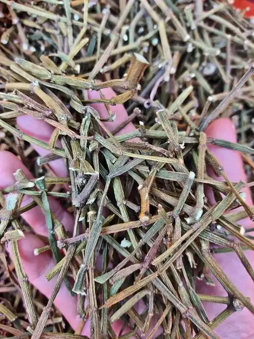 螃蟹脚一斤价格