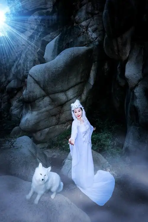 白狐图片九尾,白狐图片素材_大山谷图库