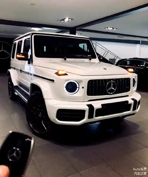 奔驰大g应该是加价最凶的车了吧 67676767?