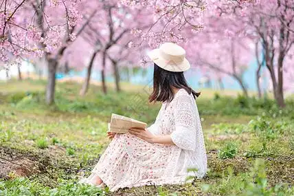 牵手背影,春天樱花树下看书阅读的女生背影背景