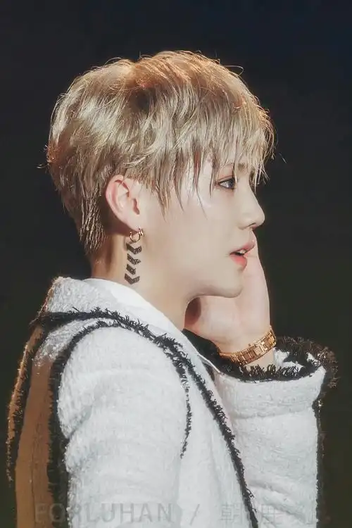 卢昱晓回应追鹿晗吴世勋