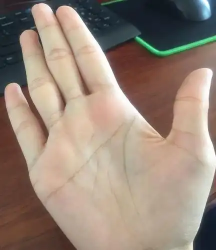 有福之人的手相特征,"手握金山"迟早要发大财__凤凰网