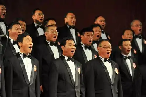 益安宁丸杯首届安徽省合唱大赛芜湖海选精彩回顾之3乐音男声合唱团