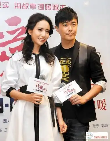 花心才子陈思诚的浪荡史和他背后的姑娘们