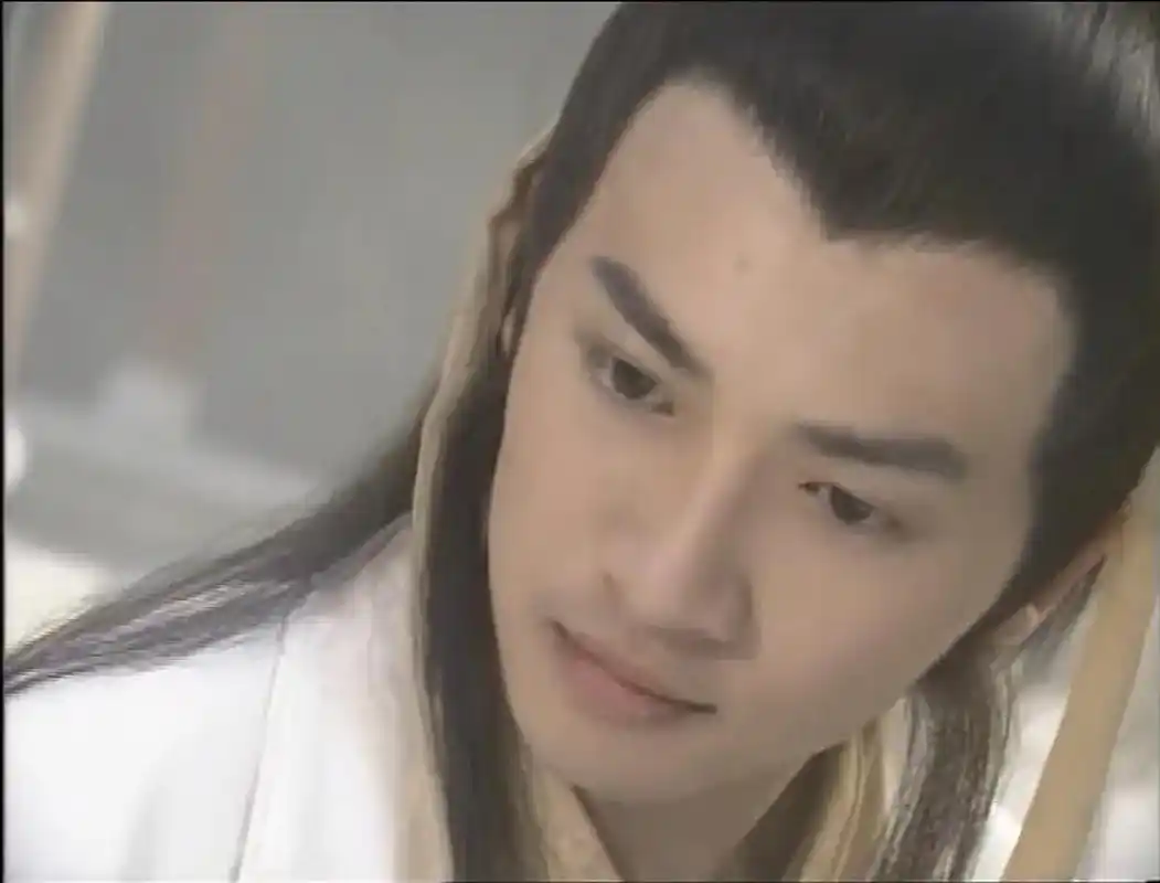 苏有朋和林志颖版的《小鱼儿与花无缺》是最像双胞胎一版,颜值很相当