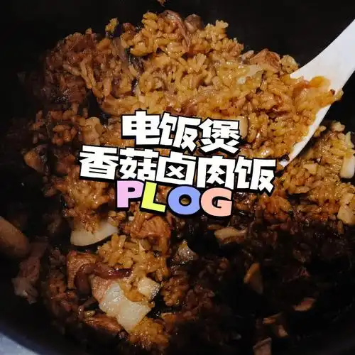电饭煲香菇卤肉饭