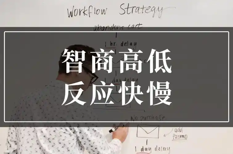 智商高的人反应慢,智商低的人反应快