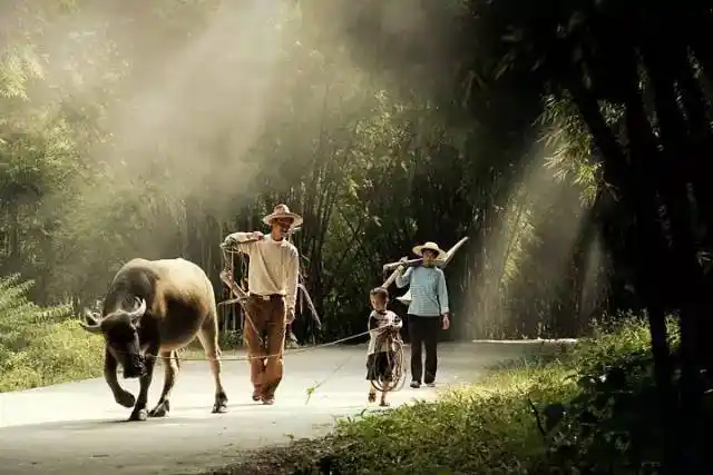 兴宁人小时候的农村回忆你还有印象吗