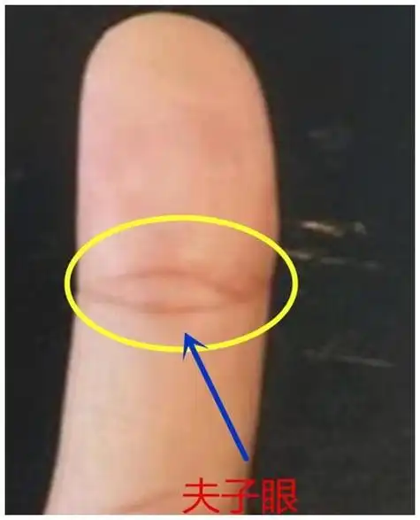 很多人对于手相的认识只停留在手纹中的三条主线,生命线,感情线还有