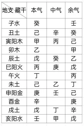 地支藏干,玄中之玄(传统文化寻根之地支之一)