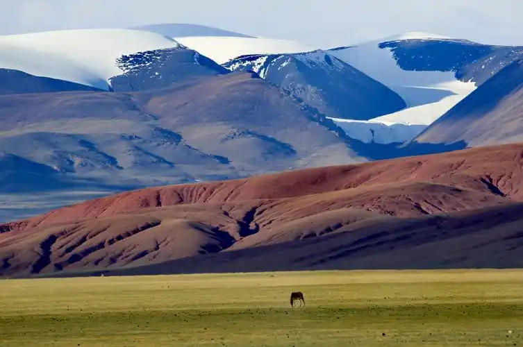 走进西藏(4)……精灵的乐园～藏北羌塘/可可西里无人区