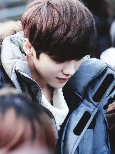 鹿晗,exo前成员
