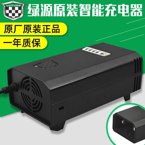 绿源(lvyuan)绿源原厂原装电动车充电器电瓶车充电器原厂48v20e-2t两