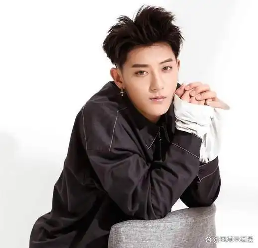 黄子韬作为归国四子之一的成员,在韩国组合exo的知名度使他在国内也