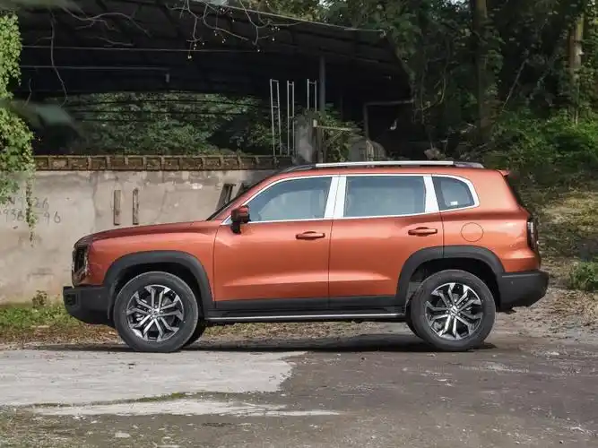 长城汽车 哈弗大狗 2021款 改款 1.5t dct两驱马犬-旺财版