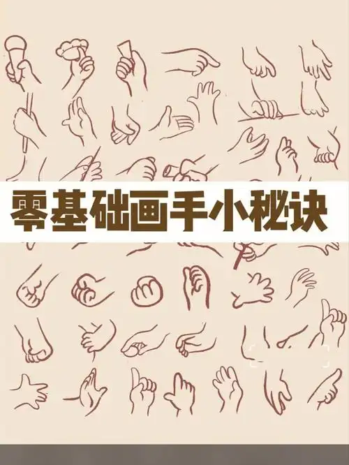 零基础绘画教程分享