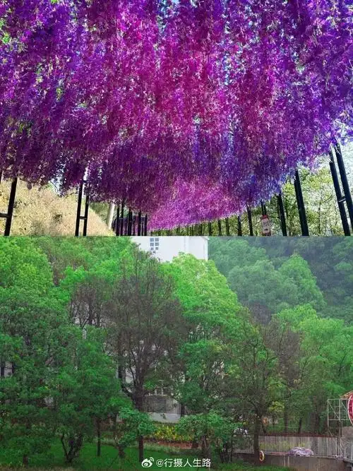 仙女湖浪漫三岛全新上线##全国的仙女都下凡到仙女