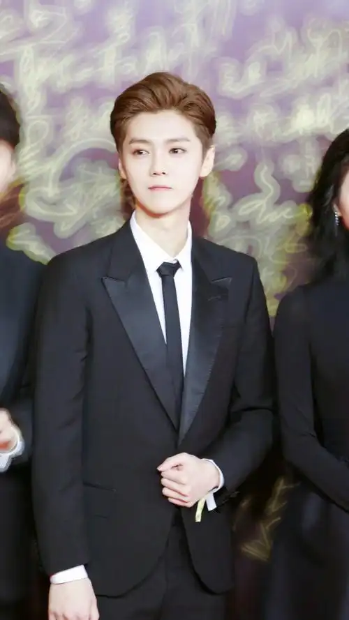 鹿晗181208 第十七届中国电影华表奖红毯高清壁纸/聊天背景.